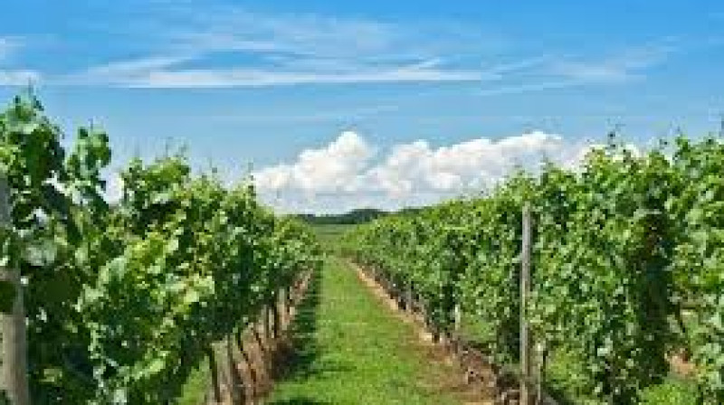 Aut enim iste dicta est ipsum aliquam delectus. 2