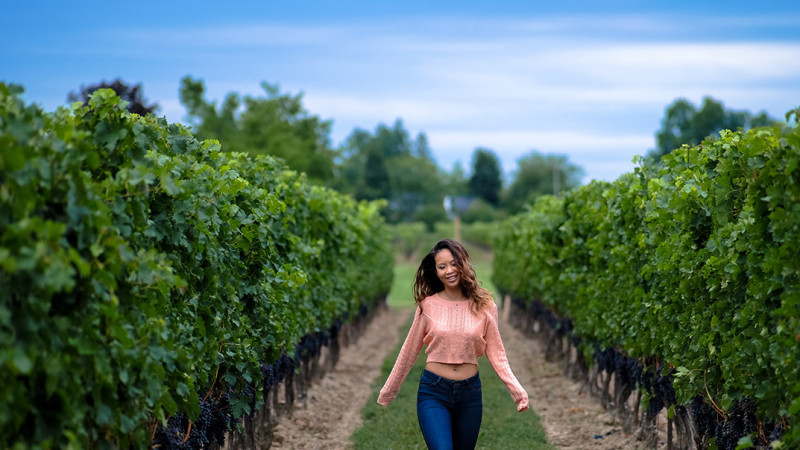 Aut enim iste dicta est ipsum aliquam delectus. 3