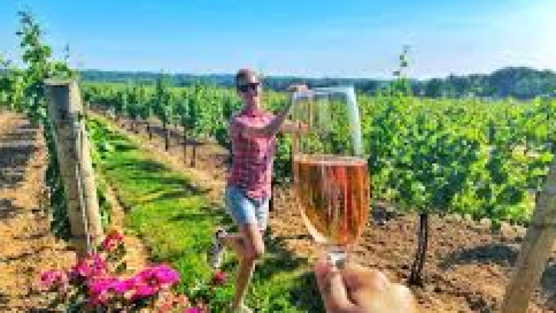 Aut enim iste dicta est ipsum aliquam delectus. 4